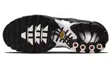 Nike Air Max Plus Black