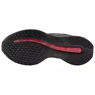 Nike Pegasus Premium Black