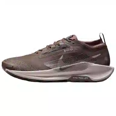 Nike Pegasus Trail 5 Brown