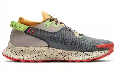 Nike Pegasus Trail 2 GORE-TEX