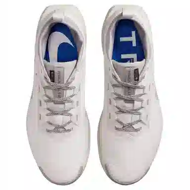 Nike Pegasus Trail 5 GORE-TEX