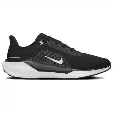 Nike Pegasus 41 Black