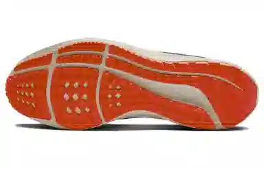 Nike Air Zoom Pegasus 40