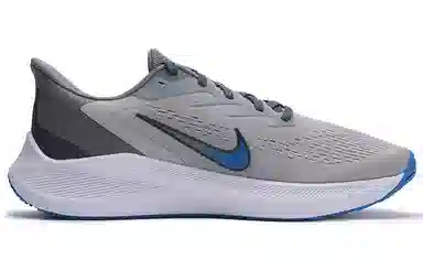 Nike Zoom Winflo 7