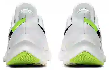Nike Zoom Winflo 6