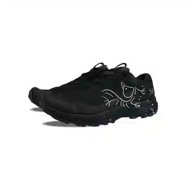Arcteryx AERIOS FL GTX