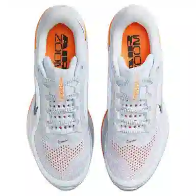 Nike Pegasus Premium