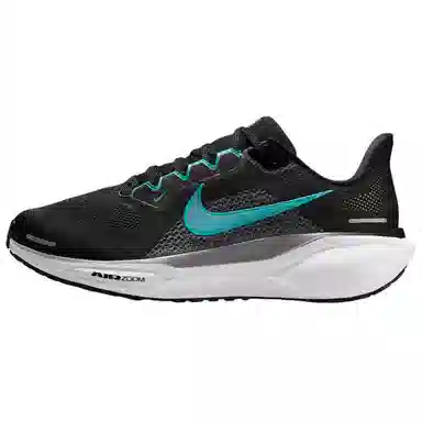 Nike Pegasus 41