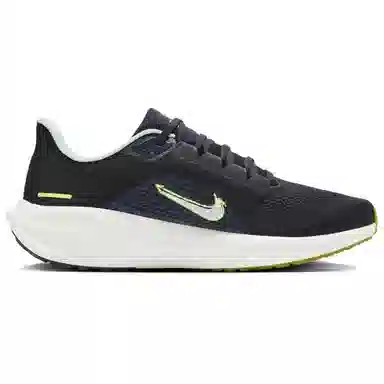 Nike Pegasus