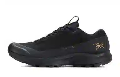 Arcteryx Aerios Fl 2 GTX 811