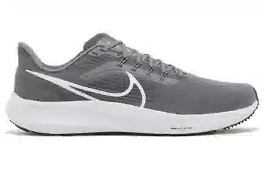 Nike Air Zoom Pegasus 39 White Grey