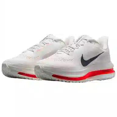 Nike Pegasus Premium