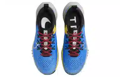Nike Pegasus Trail 4 Blue