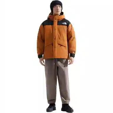 THE NORTH FACE Dryvent FW25 600