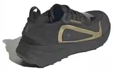 Stella McCartney x adidas Outdoorboost 2.0 Black Gold
