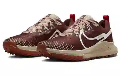 Nike Pegasus Trail 4 Brown