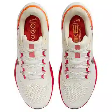 Nike Air Zoom Pegasus 41