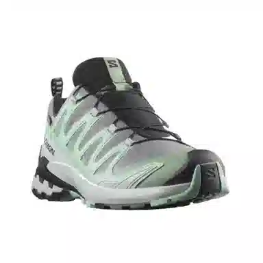 Salomon XA Pro 3D V9 GORE-TEX