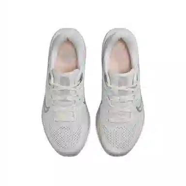 Nike Quest 6 White Grey