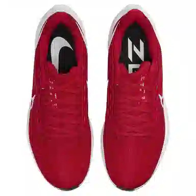 Nike Air Zoom Pegasus 39