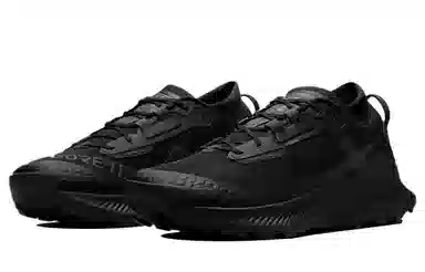 Nike Pegasus Trail 3 Gore-Tex Black
