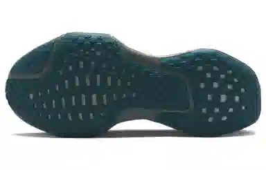 Nike ZoomX Invincible Run 3 Blue