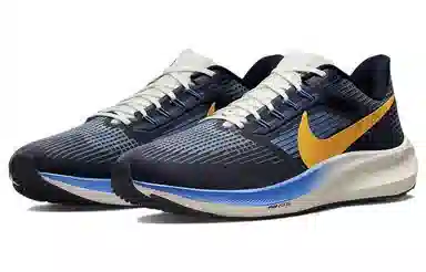 Nike Air Zoom Pegasus 39 Premium