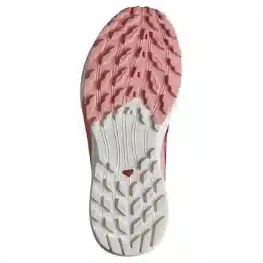 Salomon Sense Ride 5 GTX