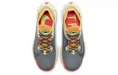 Nike Pegasus Trail 2 GORE-TEX