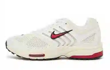 Nike Air Pegasus 2K5