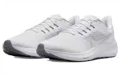 Nike Air Zoom Pegasus 39 White Grey