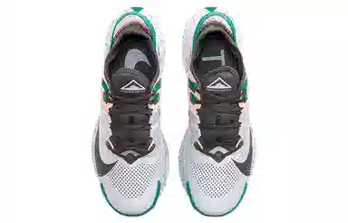 Nike Pegasus Trail 2