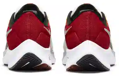 Nike Pegasus 38 "Year of the Tiger"