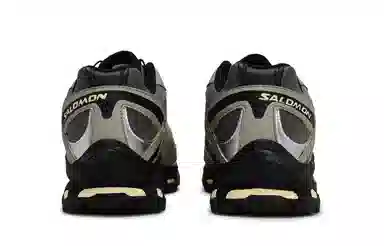 Salomon XT-Quest 811