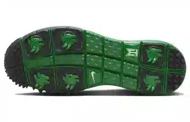 Nike Tiger Woods '13 "Masters"