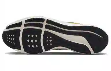 Nike Air Zoom Pegasus 39 Premium