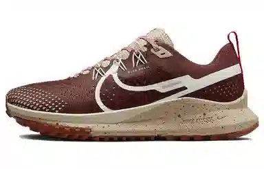 Nike Pegasus Trail 4 Brown