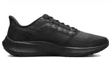 Nike Air Zoom Pegasus 39 Black