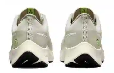 Nike Pegasus 38 Shield