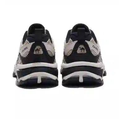 CAMEL Chasing Light 2.0