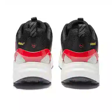 Northland Professional