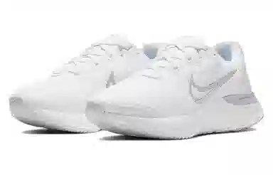 Nike Renew Run 2 White Silver