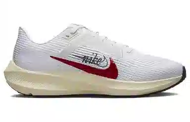 Nike Air Zoom Pegasus 40 PRM