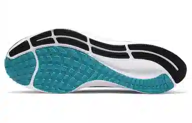 Nike Pegasus 38 Black White Blue