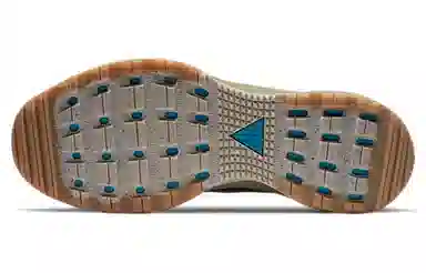 Nike ACG Air Zoom AO Brown