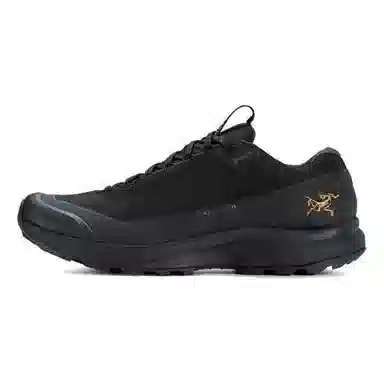Arcteryx Aerios Fl 2 GTX