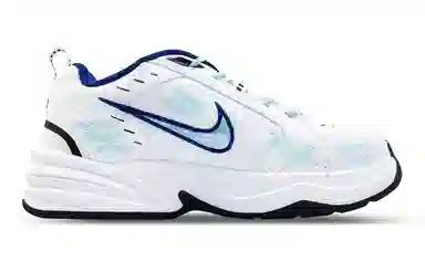 Nike Air Monarch 4