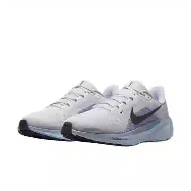 Nike Pegasus 41 White Grey
