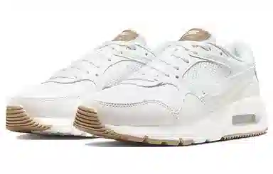 Nike Air Max SC