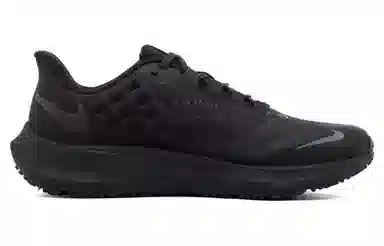 Nike Air Zoom Pegasus 39 Black